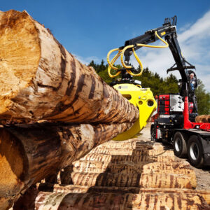 LOGLIFT 251S šumska dizalica