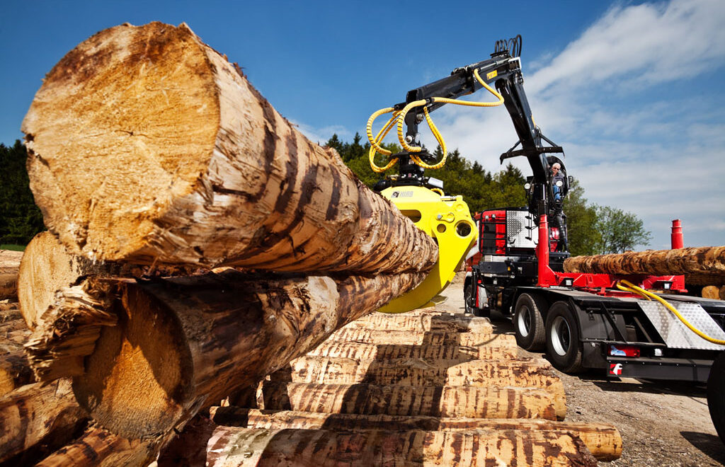 LOGLIFT 251S šumska dizalica